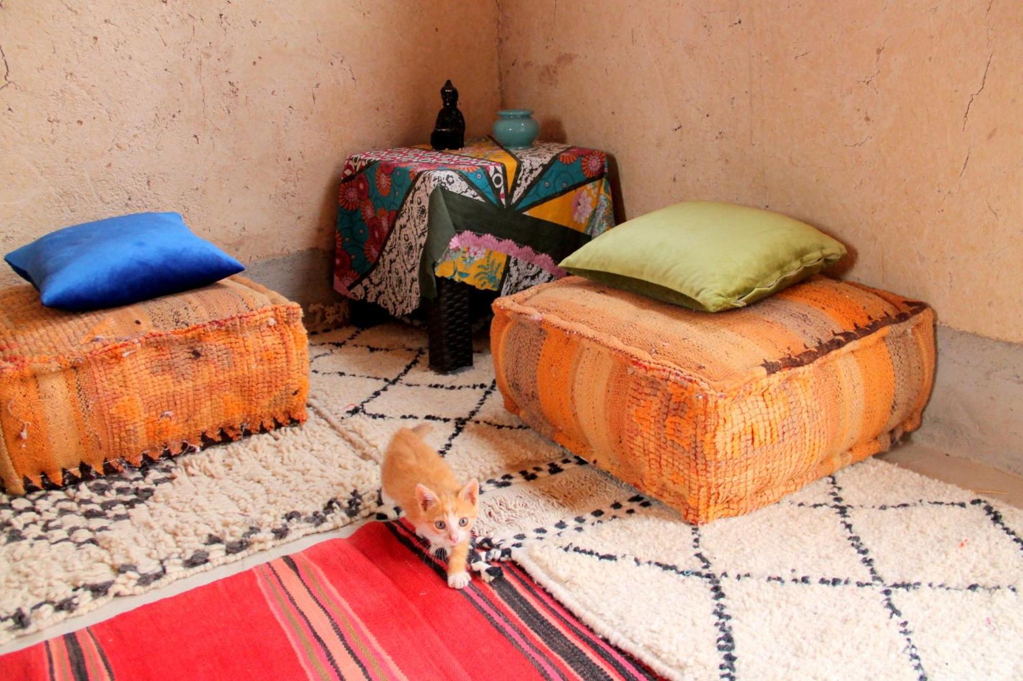 Ngayan Camp Hotel Taizelt Bagian luar foto